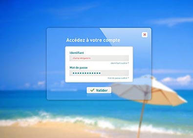 Formulaire Crystal form